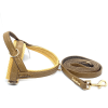Cappuccino leash