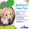 SP Snowflake Ultra Durable Nylon Dog Chew Toy for Aggressive Chewers